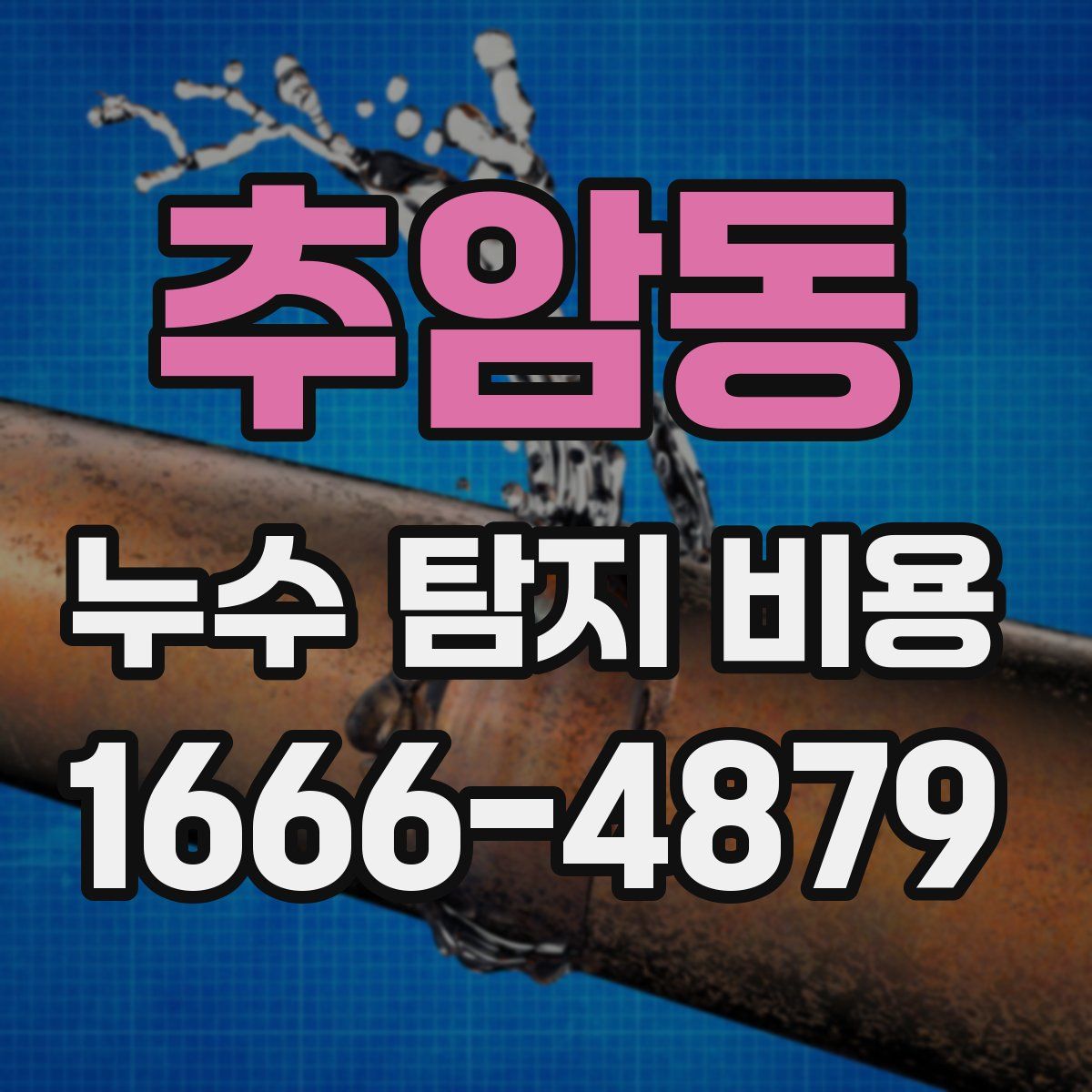 추암동 누수 탐지 비용