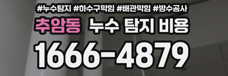추암동 누수 탐지 비용
