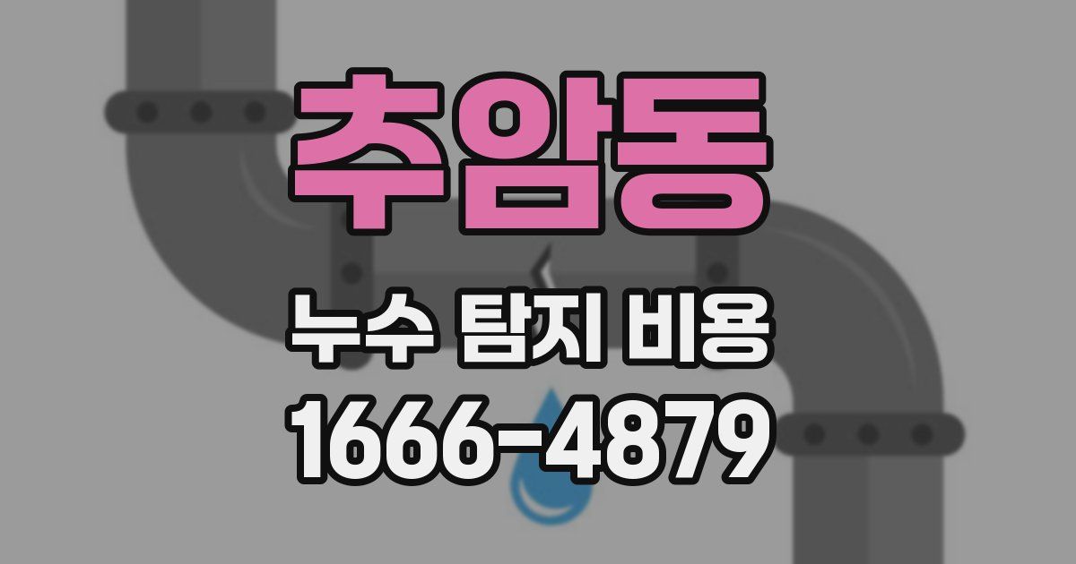 추암동 누수 탐지 비용