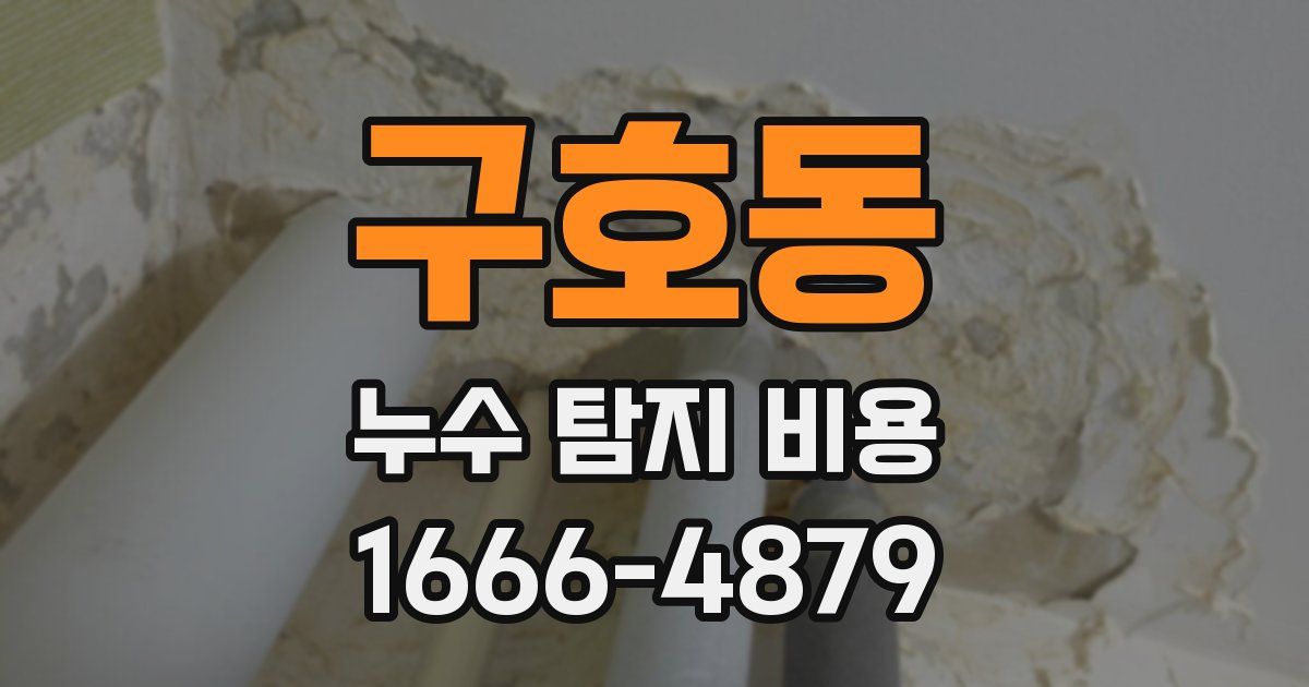 구호동 누수 탐지 비용