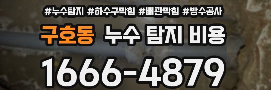 구호동 누수 탐지 비용