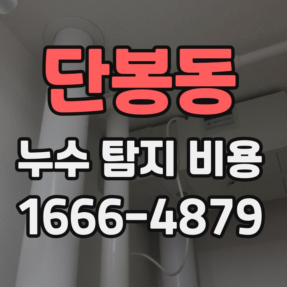 단봉동 누수 탐지 비용