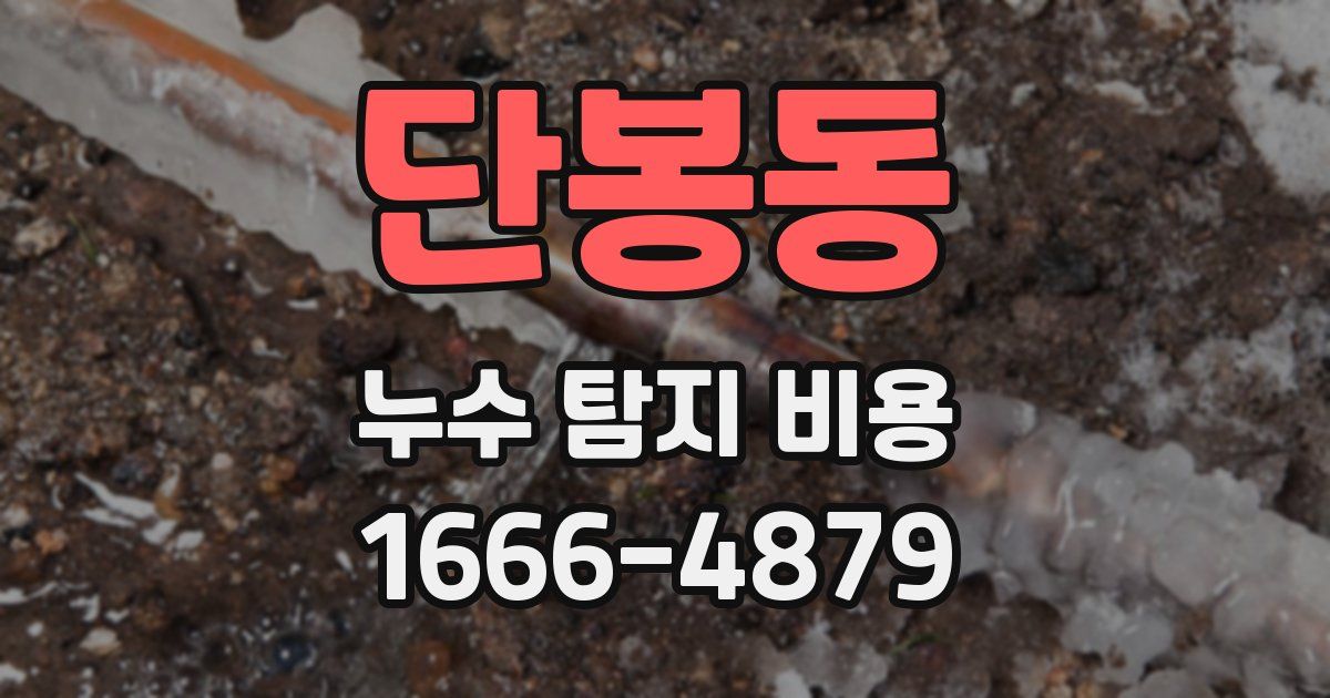 단봉동 누수 탐지 비용
