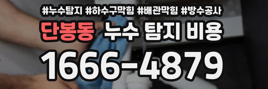 단봉동 누수 탐지 비용