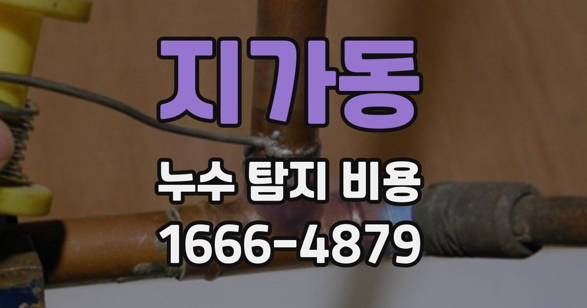 지가동 누수 탐지 비용