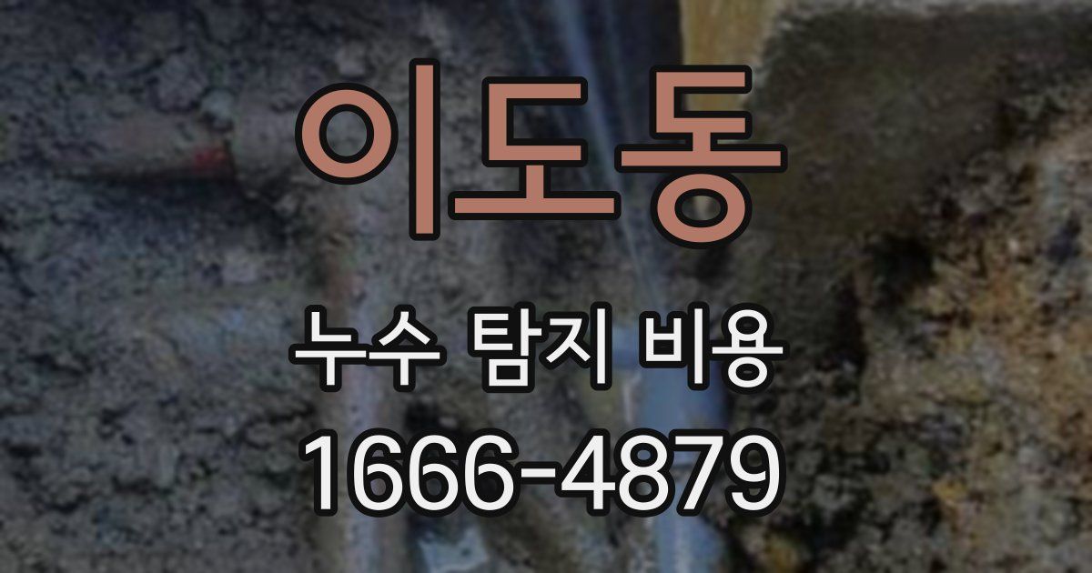 이도동 누수 탐지 비용