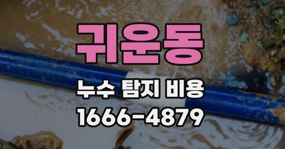귀운동 누수 탐지 비용