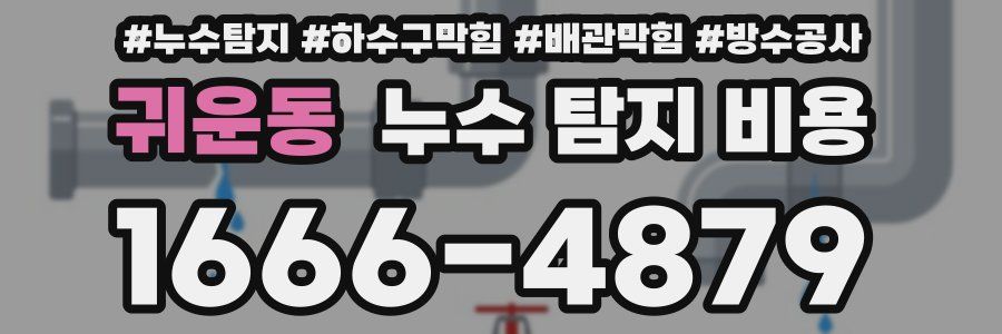 귀운동 누수 탐지 비용