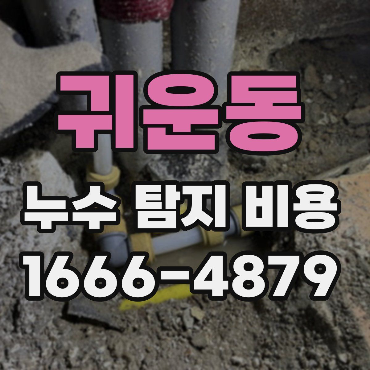 귀운동 누수 탐지 비용
