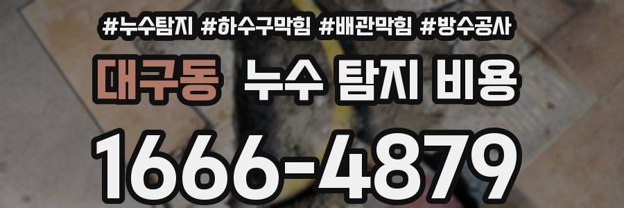 대구동 누수 탐지 비용