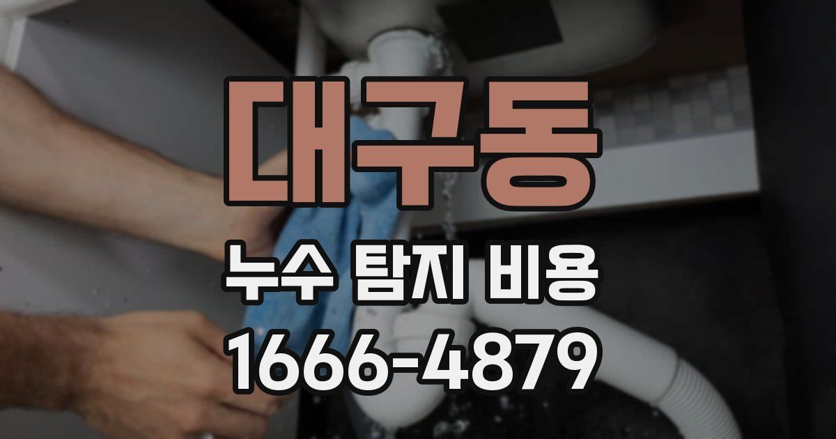 대구동 누수 탐지 비용