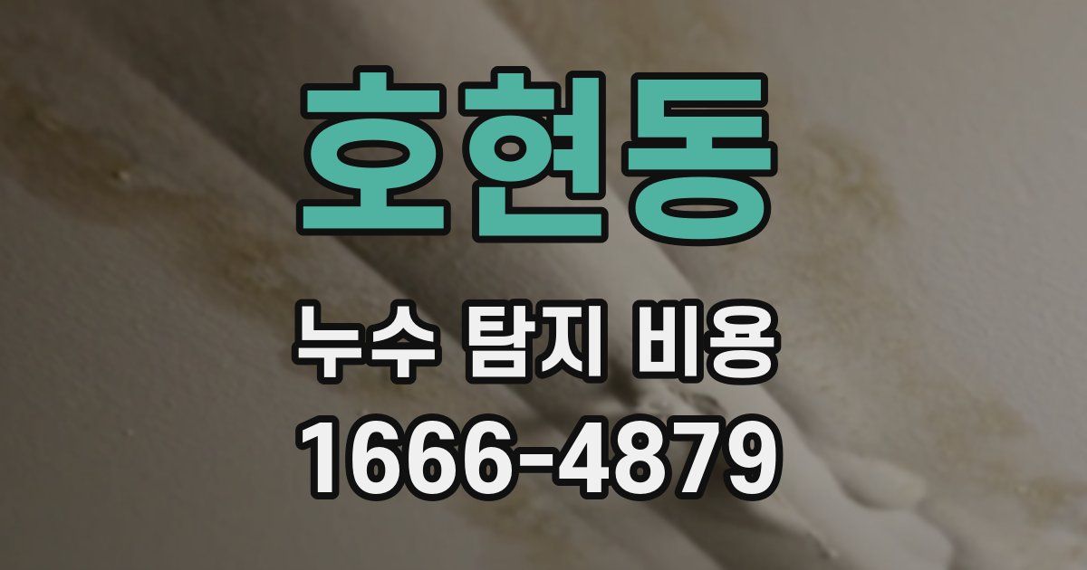 호현동 누수 탐지 비용