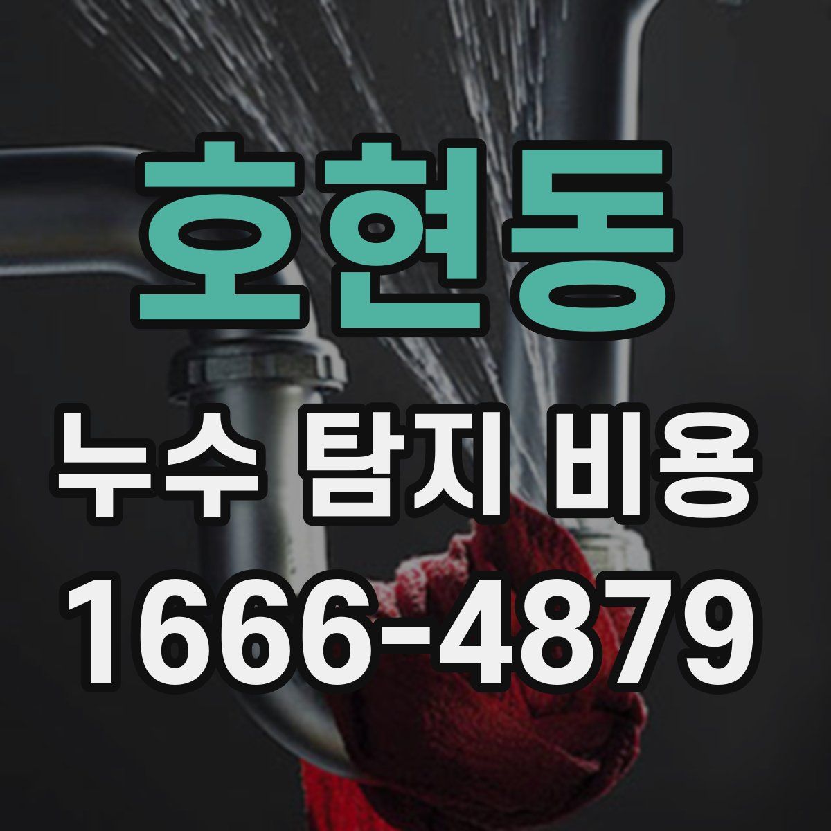 호현동 누수 탐지 비용