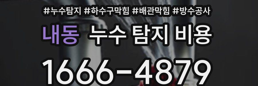 내동 누수 탐지 비용