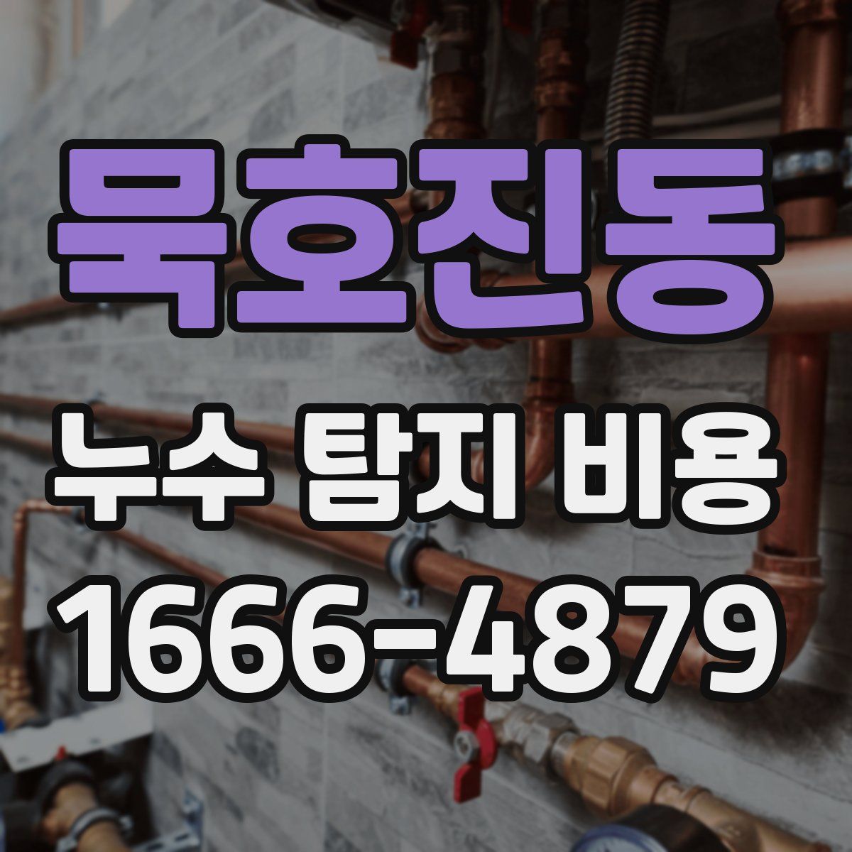 묵호진동 누수 탐지 비용