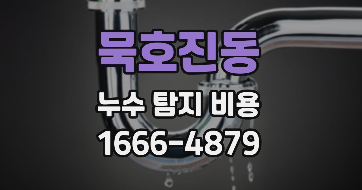 묵호진동 누수 탐지 비용