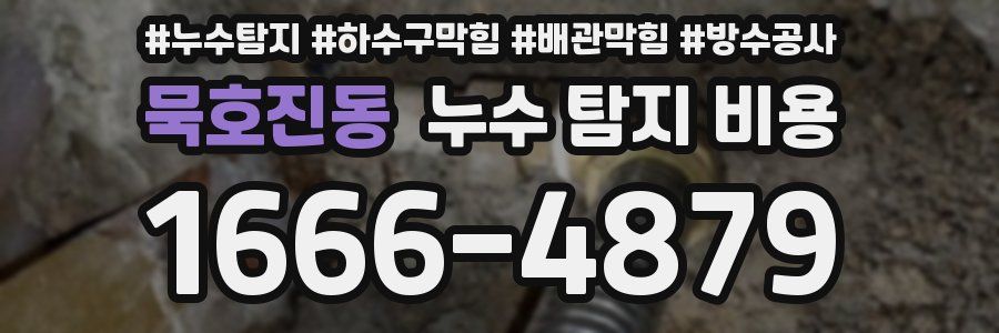 묵호진동 누수 탐지 비용