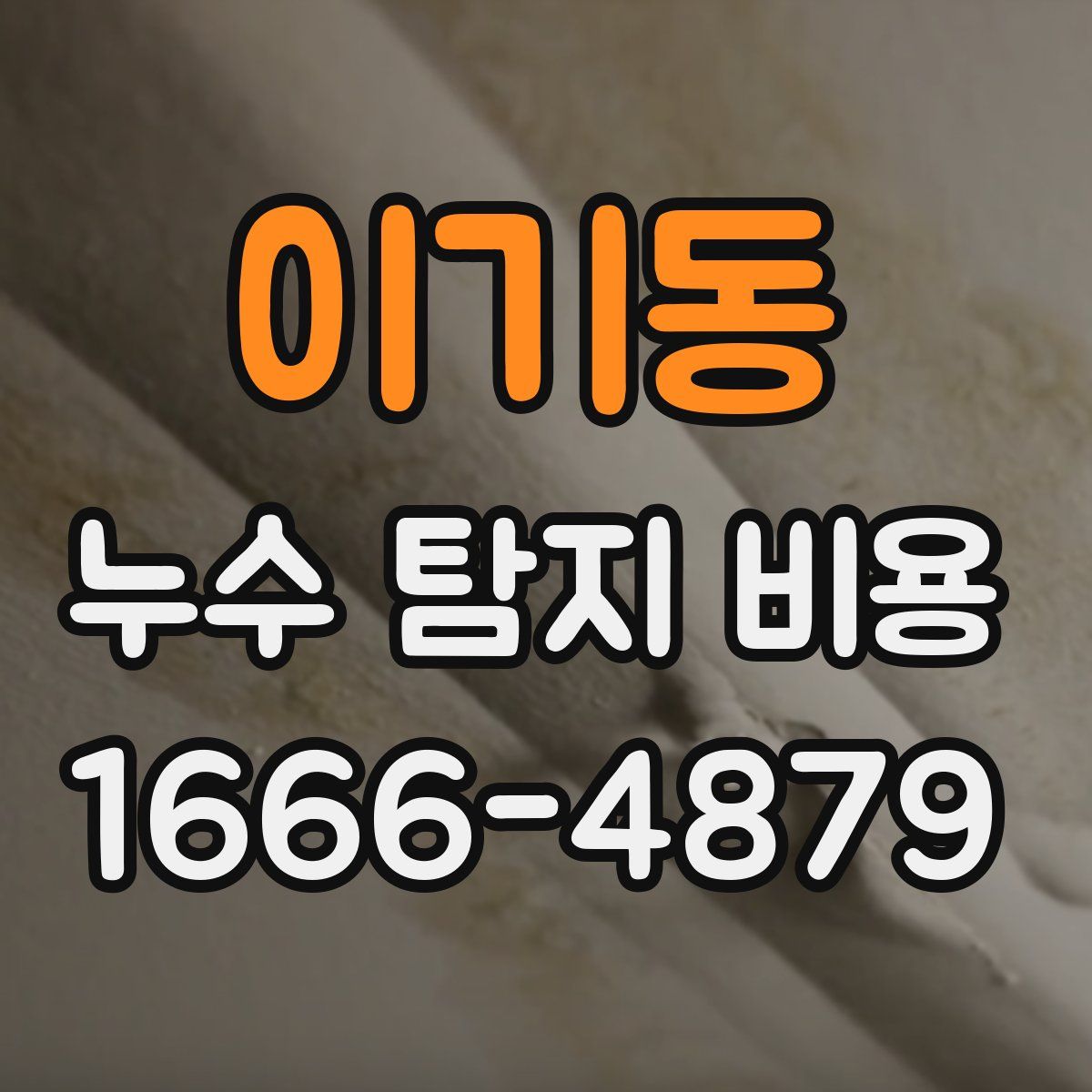 이기동 누수 탐지 비용