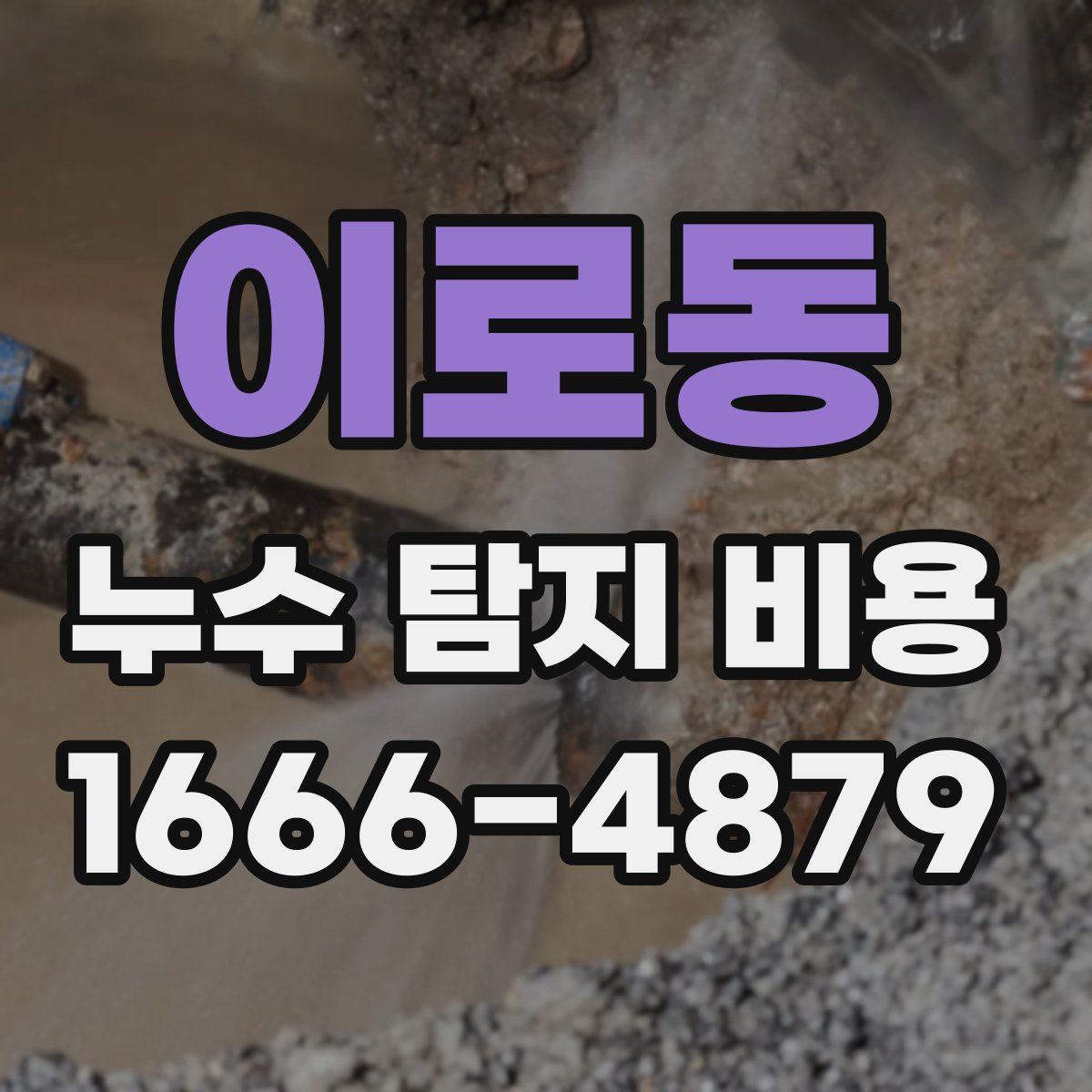이로동 누수 탐지 비용