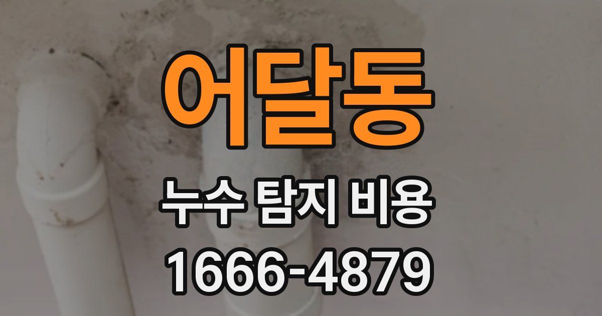 어달동 누수 탐지 비용