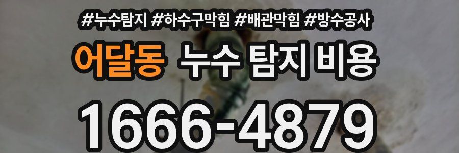 어달동 누수 탐지 비용
