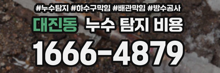 대진동 누수 탐지 비용