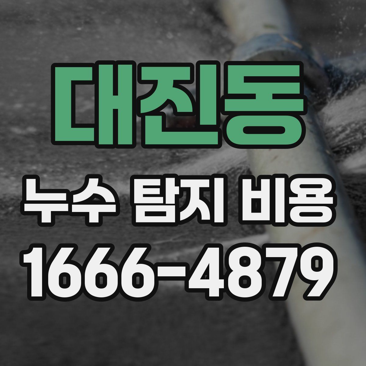대진동 누수 탐지 비용