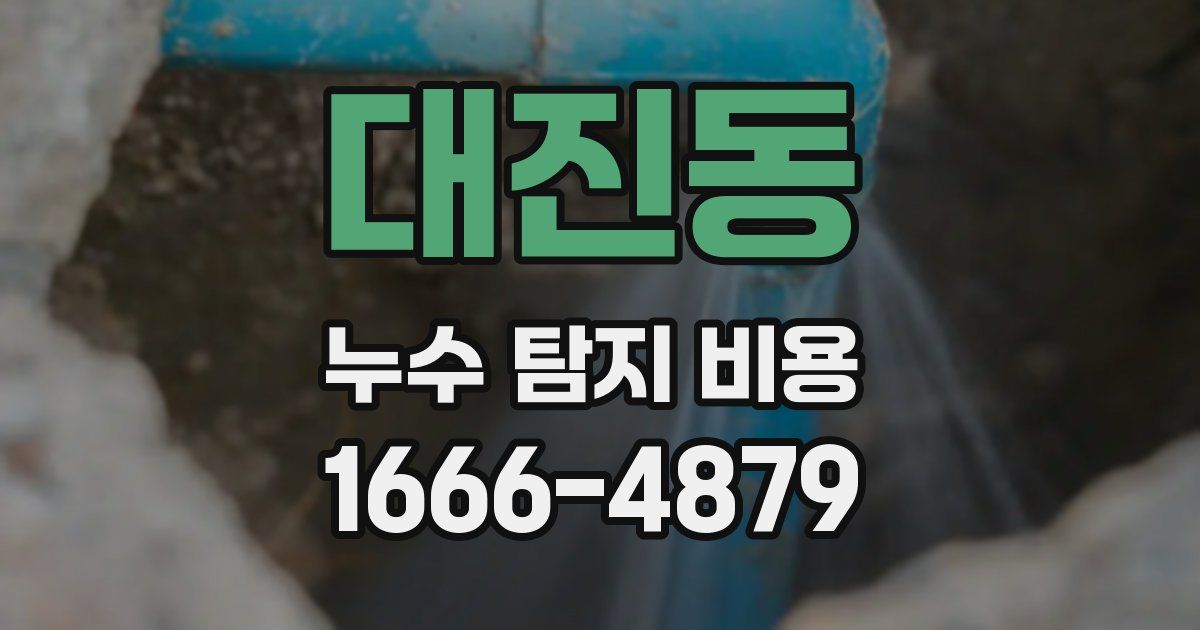 대진동 누수 탐지 비용