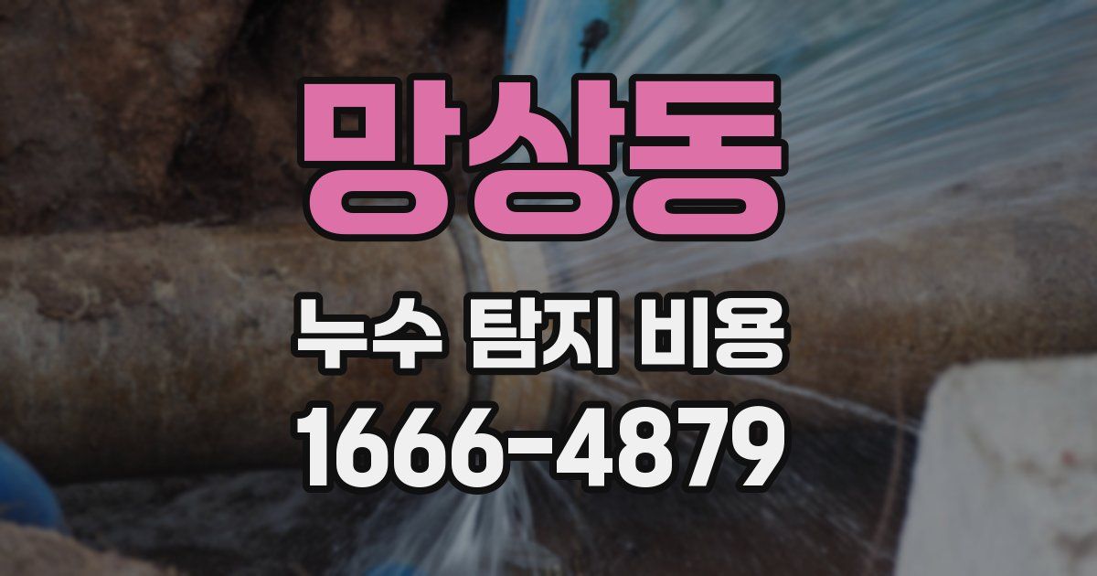 망상동 누수 탐지 비용