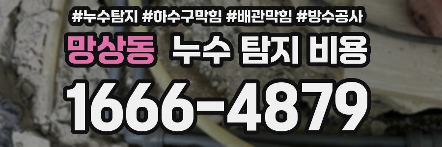 망상동 누수 탐지 비용