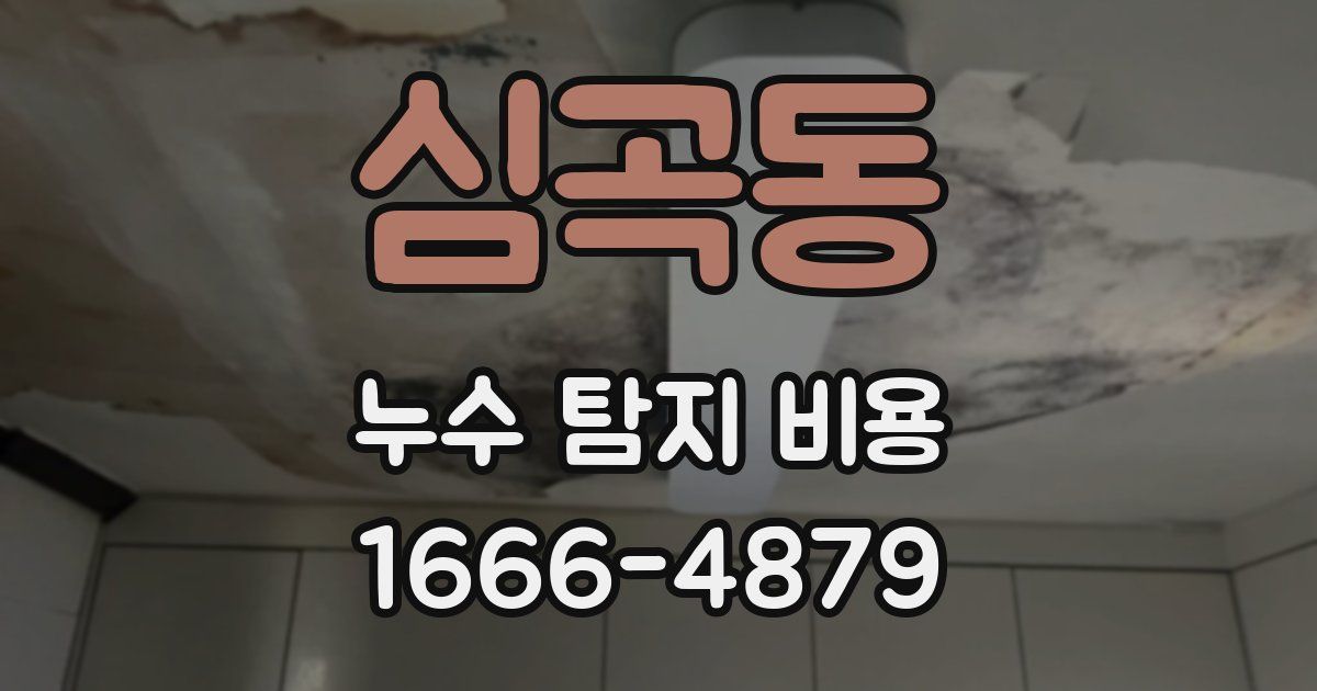 심곡동 누수 탐지 비용