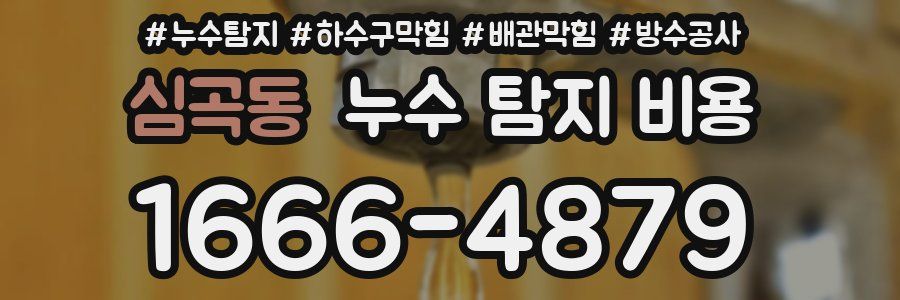 심곡동 누수 탐지 비용