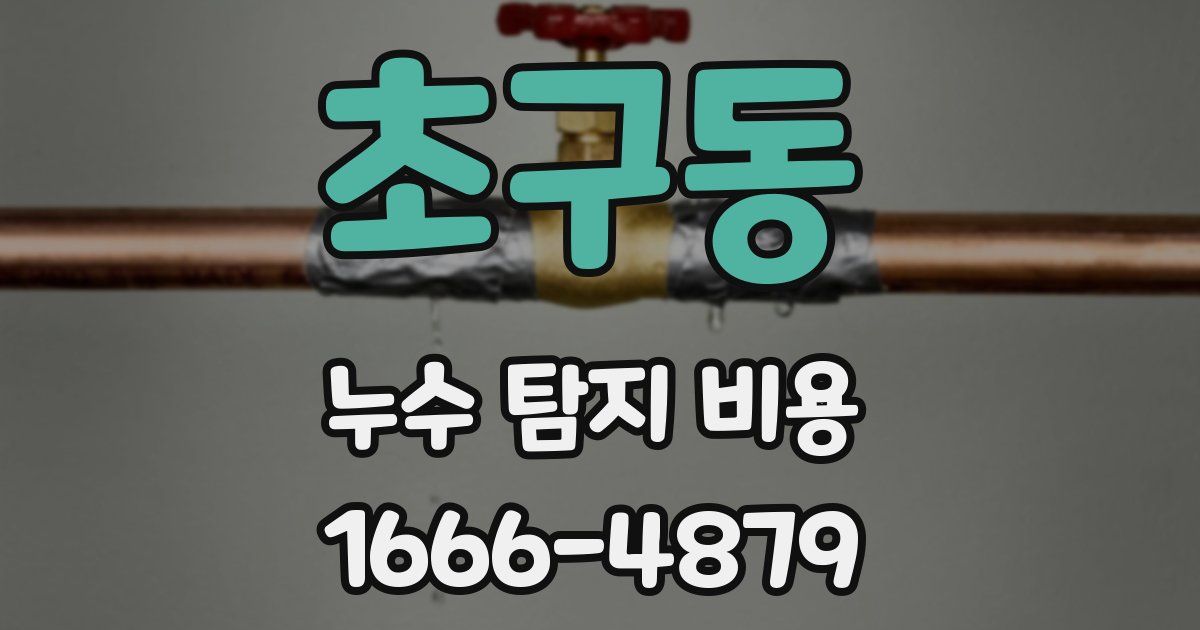 초구동 누수 탐지 비용