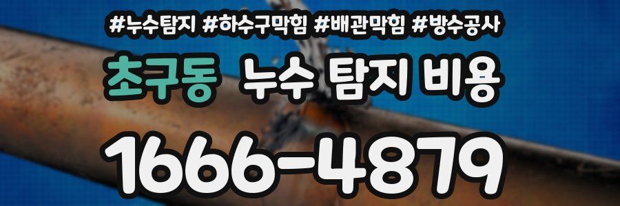 초구동 누수 탐지 비용