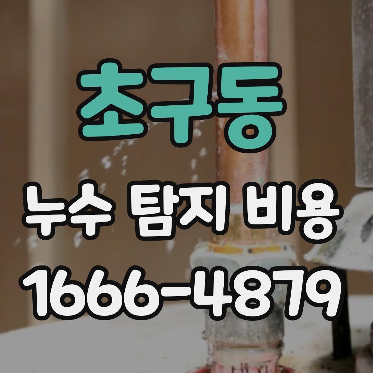 초구동 누수 탐지 비용