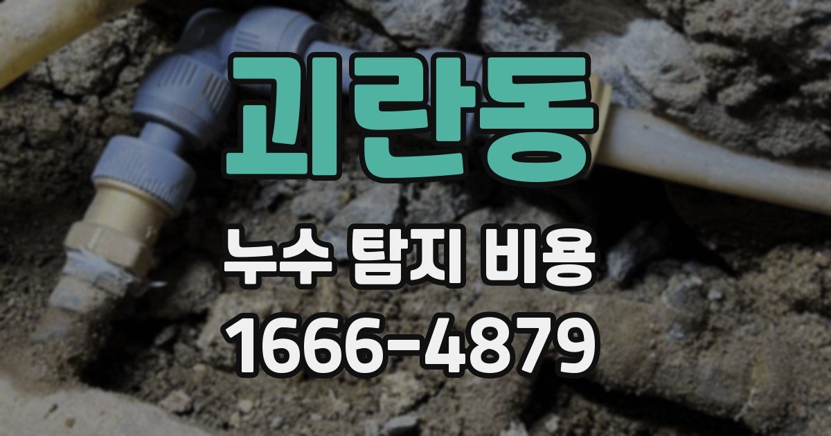 괴란동 누수 탐지 비용