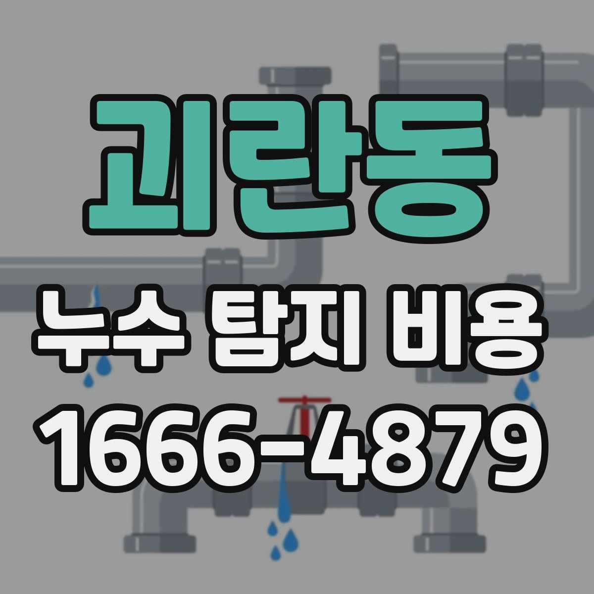 괴란동 누수 탐지 비용