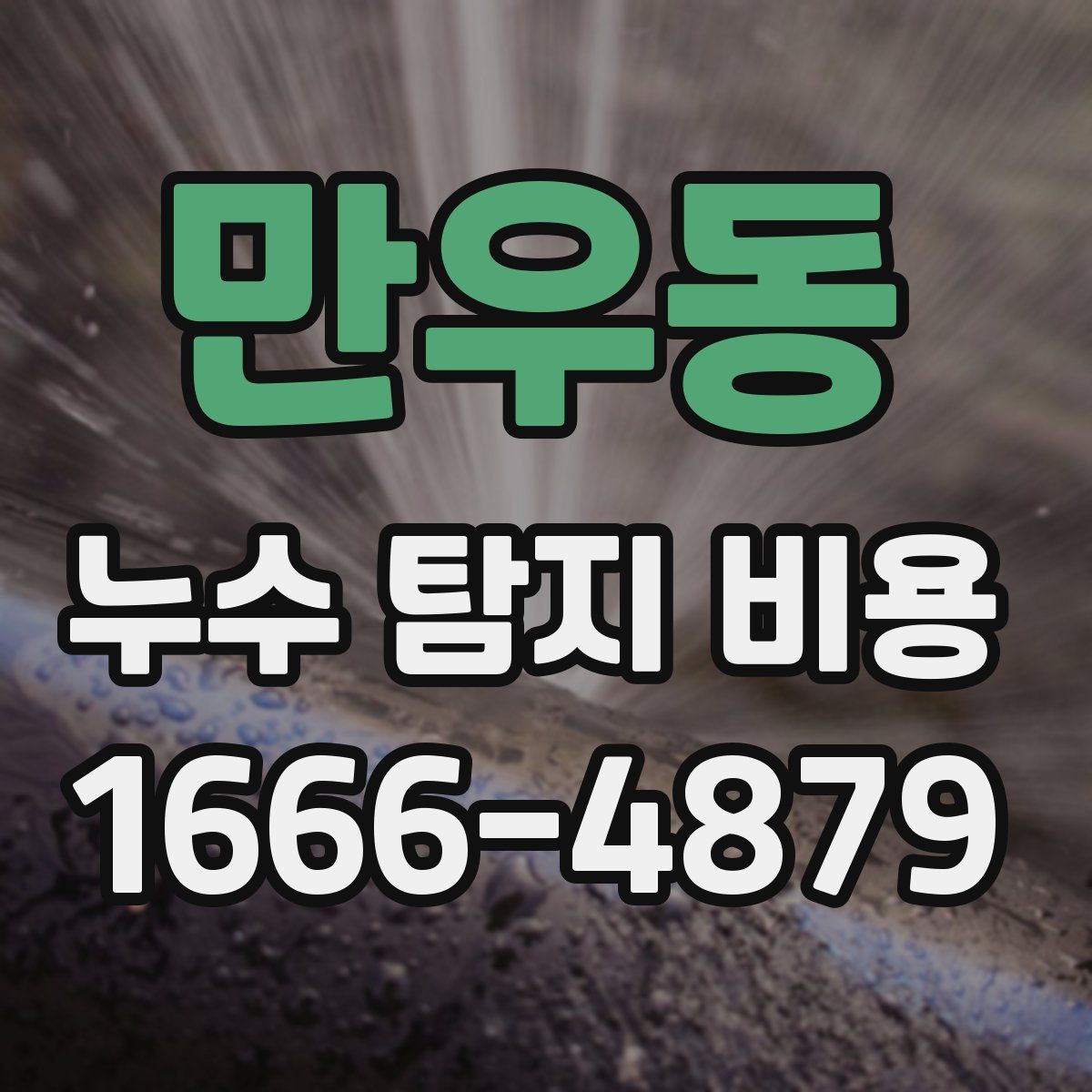 만우동 누수 탐지 비용