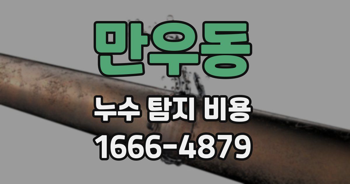 만우동 누수 탐지 비용