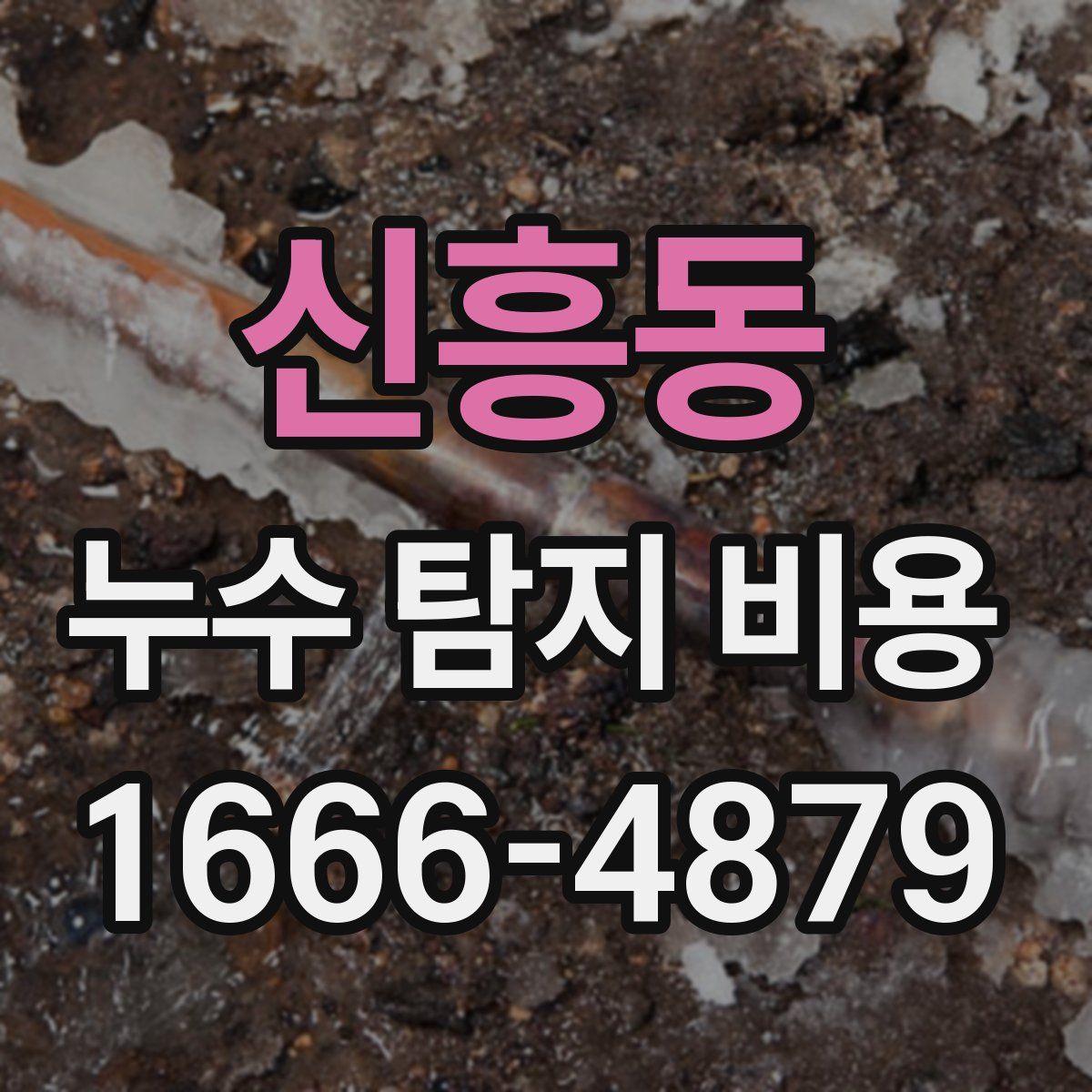 신흥동 누수 탐지 비용