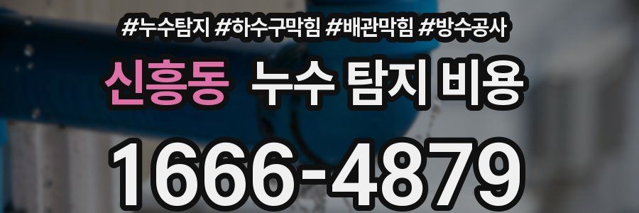 신흥동 누수 탐지 비용