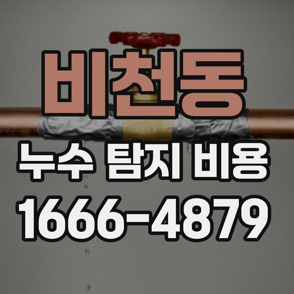 비천동 누수 탐지 비용
