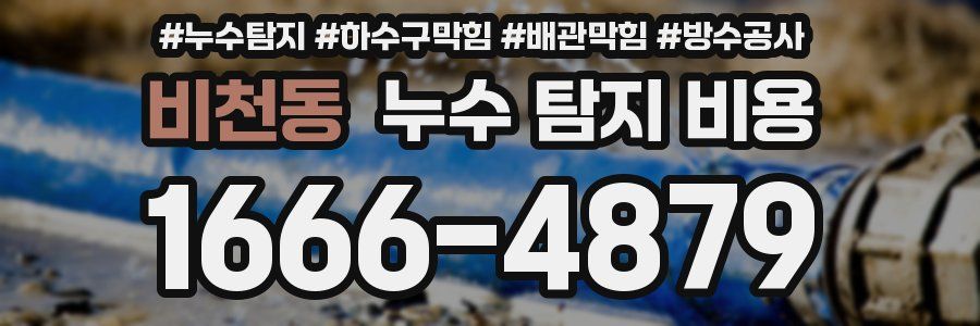 비천동 누수 탐지 비용