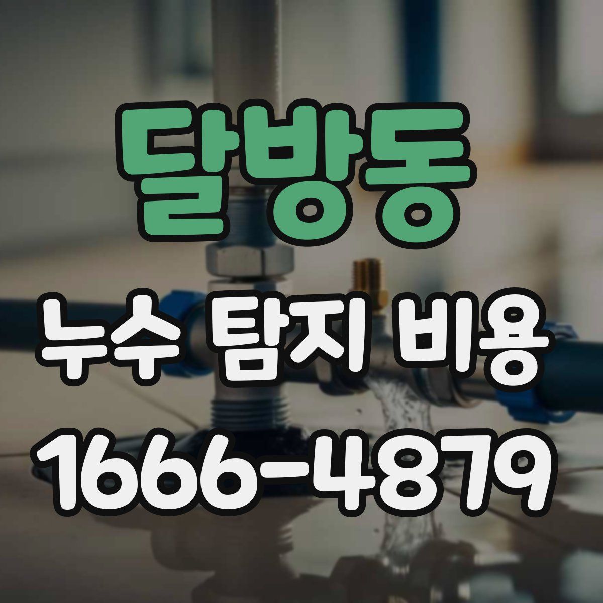 달방동 누수 탐지 비용