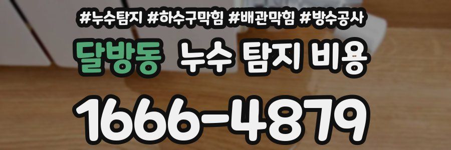 달방동 누수 탐지 비용