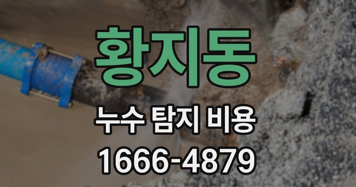 황지동 누수 탐지 비용