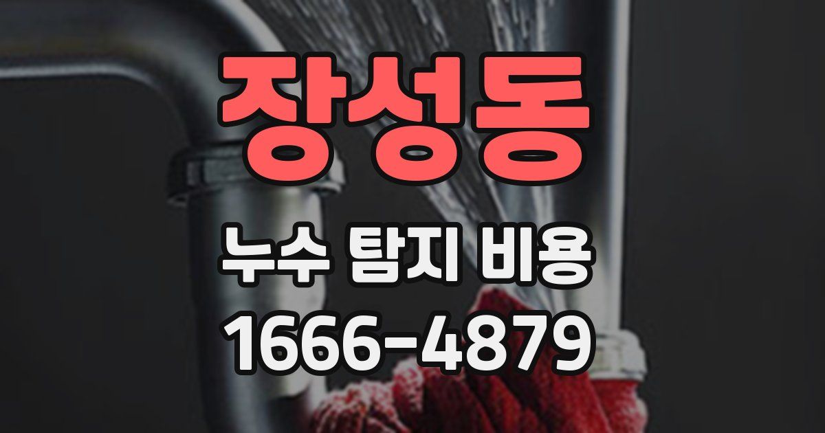 장성동 누수 탐지 비용
