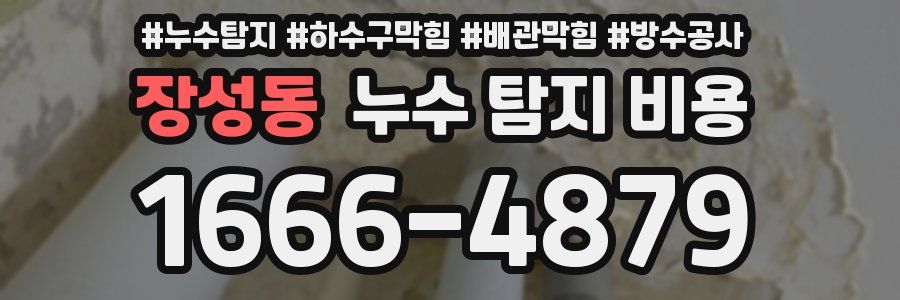 장성동 누수 탐지 비용