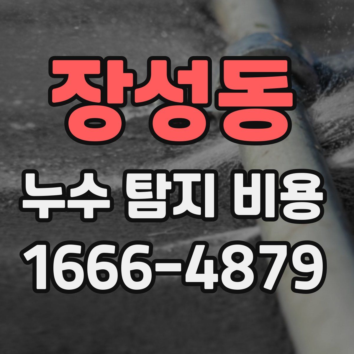 장성동 누수 탐지 비용