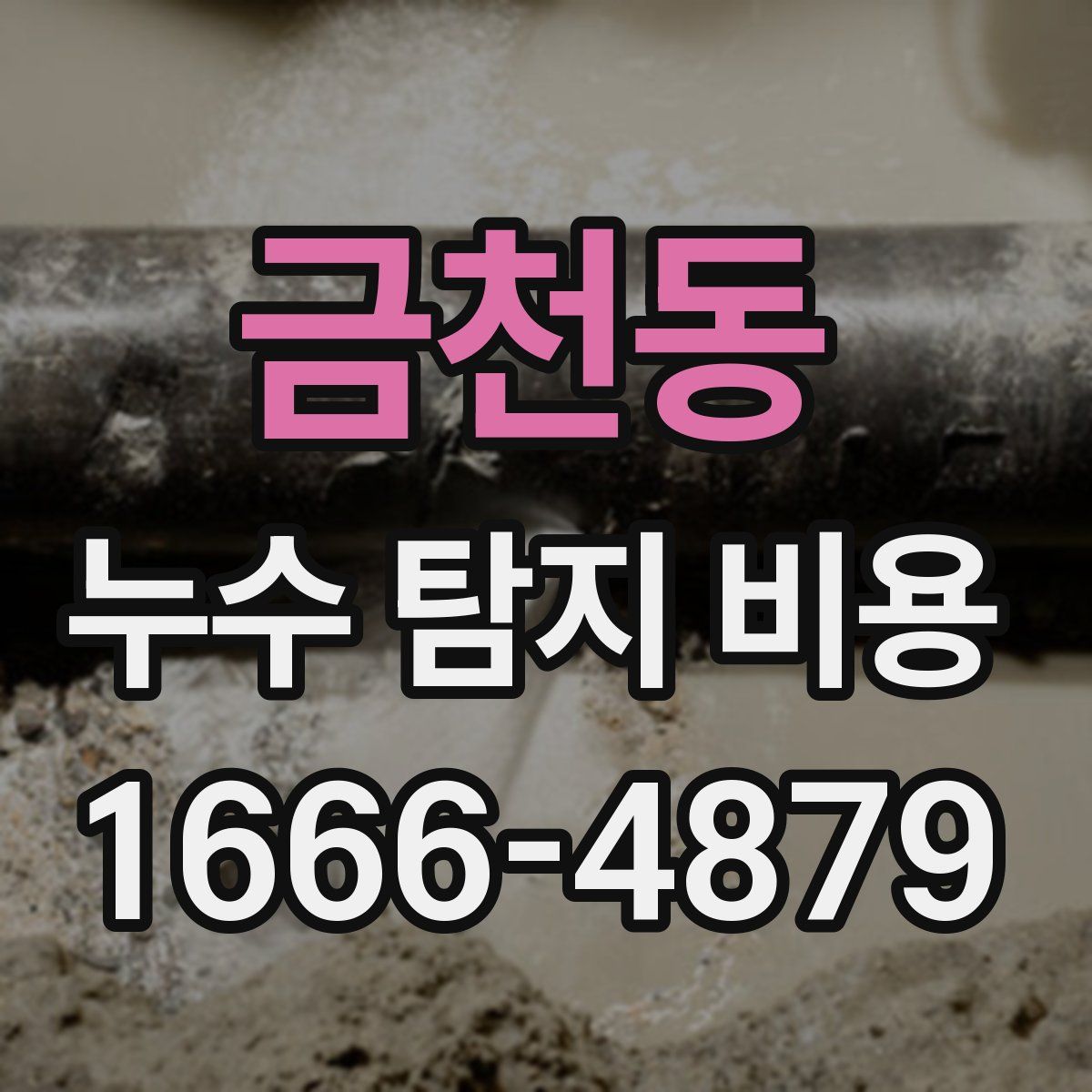 금천동 누수 탐지 비용